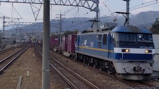 東海道本線 さくら夙川駅 EF210-309牽引貨物列車通過シーン