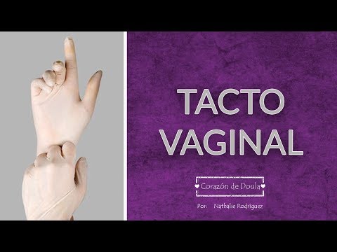⚠️⚠️ TACTO VAGINAL -- Embarazo -- Parto hqdefault