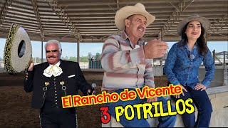 VICENTE FERNÁNDEZ y sus CABALLOS en RANCHO LOS 3 POTRILLOS | ALMA CORONEL