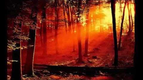 تلاوة لا توصف الشيخ محمد المحيسني سورة الكهف