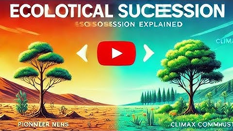 Ecological Succession Explained: How Ecosystems Transform Over Time
