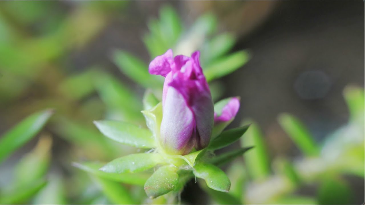 Quiet moments of reflection