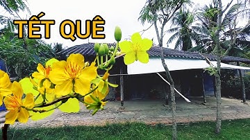 Tết Quê - Tết Cổ Truyền Miền Tây. Ký Ức và Truyền Thống Ngày Tết.