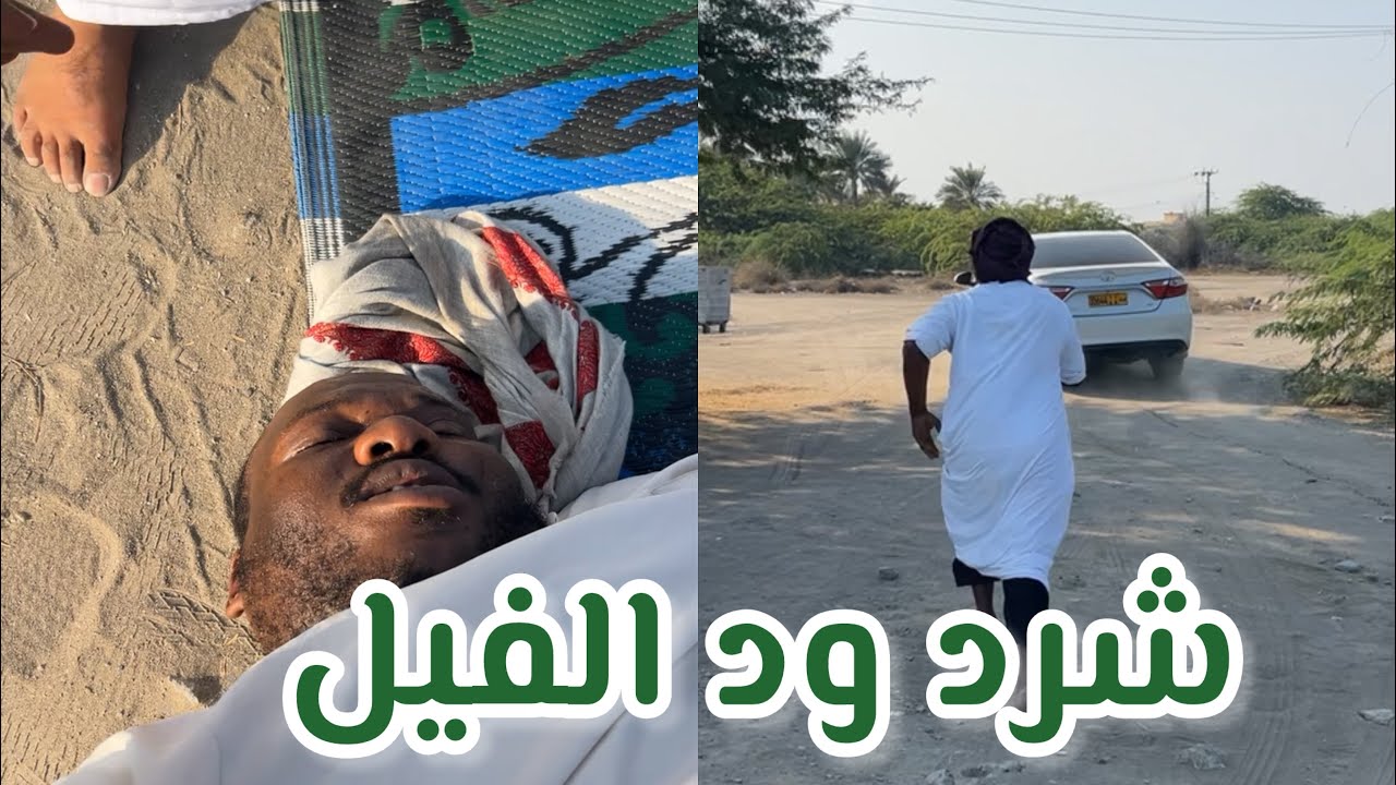 ود الفيل خذ 15﷼ عن العمال وشرد عنهم😂