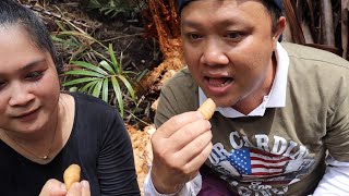 Cari Ulat Sagu/Ulat Mulong Dapat Terus Makan Mentah Di kebun Uncle Ben,Nanga Wak Pakan.