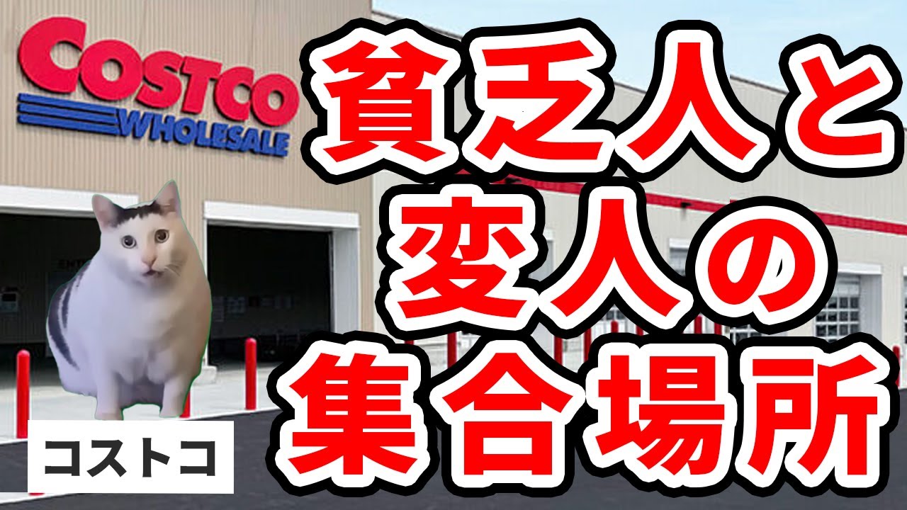 コストコに行ったら異星人たちの人間テーマパークだった