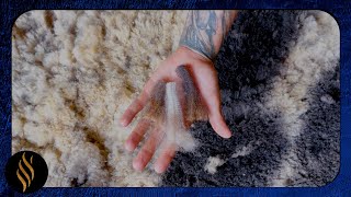 Spotted Sheep Gives Spotted Fleece by Right Choice Shearing 50,129 views 8 months ago 7 minutes, 38 seconds