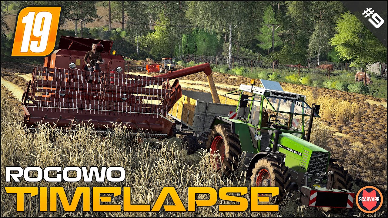 🇵🇱  Harvesting Wheat, Baling Small Square Bales ⭐ FS19 Rogowo Timelapse