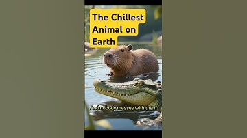 The Chillest Animal on Earth ❗❗❗#shorts #capybara #facts #funfacts