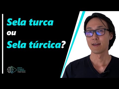 Sela turca ou sela túrcica?