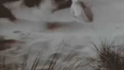 Lisa Gerrard : Sanvean  I am your shadow,  Mirror pool