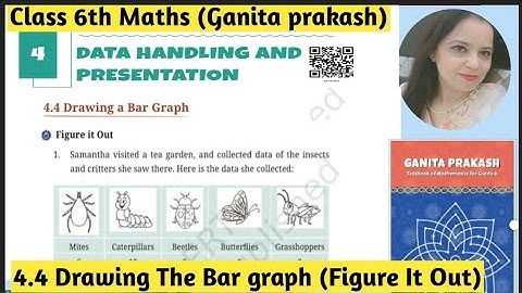 Ncert Class -6th Maths Ganita Prakash Chapter -4 Data Handling and Presentation  | 4.4 Figure It Out