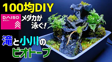 滝壺 メダカのビオトープ 作り方100均diy メダカ室内飼育 ダイソーアイテムで作成 How To Make A Tabletop Waterfall Biotope Mp3