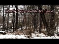 Water drops from melted snow, Seongra Park (Guksabong), Goyang, Gyeonggi, Korea Sound Ambience ASMR