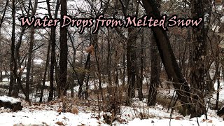 Water drops from melted snow, Seongra Park (Guksabong), Goyang, Gyeonggi, Korea Sound Ambience ASMR