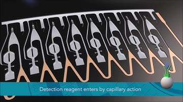 Inside Gyrolab Bioaffy CD