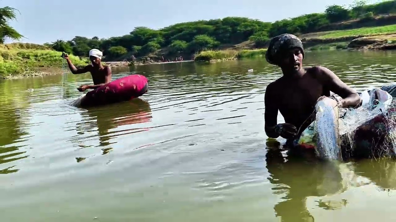 जाळ्यात अडकला राक्षसी मासा 😱 