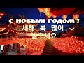 Поздравление с Новым Годом 2021!Соллаль По Восточному календарю !새해 복 많이 받으세요! Happy New Year 2021