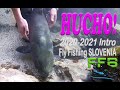 Hucho Hucho fishing Slovenia 2020 2021