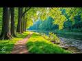 Beautiful Spring Music 2026 Relaxing Music For Stress Relief And Calm Mind 