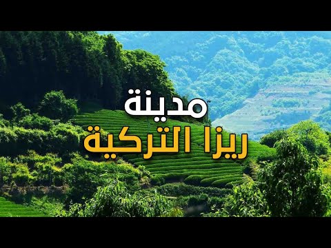 جنة الشاي في تركيا تعرف على مدينة ريزا التركية