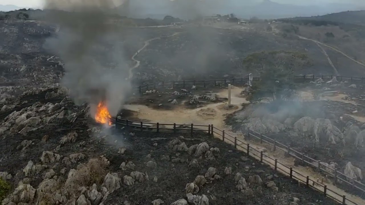 2/14 カルスト台地　秋吉台山焼き#秋吉台 #山焼き#春 