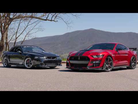 Mustang Lifestyle INVADES Ponies In The Smokies 2026