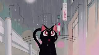 capone-oh no (slowed reverb) 'oh no,no,no,no' TIKTOK