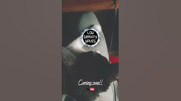 😸👉🏻🙏🏻A preview of the new song I