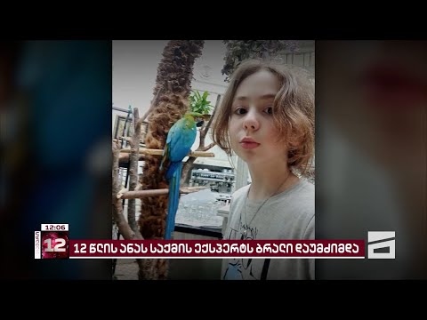 12 წლის ანას საქმეზე სამხარაულის ექსპერტს ბრალი დაუმძიმდა