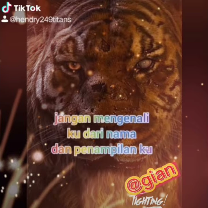harimau histori wa#tiktok