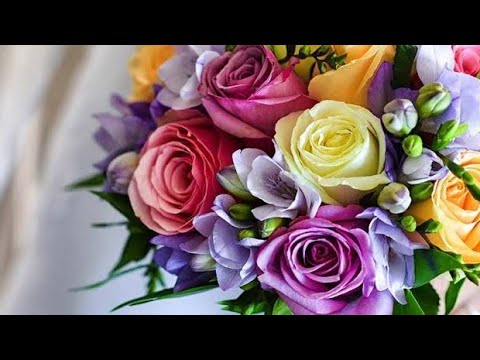 مسيتكم بالخير حنوناتي