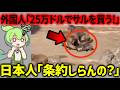 海外「日本は何をやってるんだ！私がサルを引き取る！」海外大富豪さんに日本から批判が殺到する【ずんだもん解説、海外の反応】