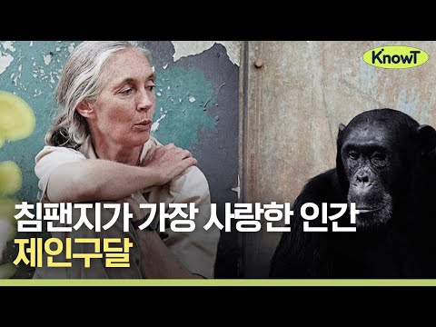이효리 롤모델 &amp;#39;침팬지 할머니&amp;#39; 제인구달의 삶