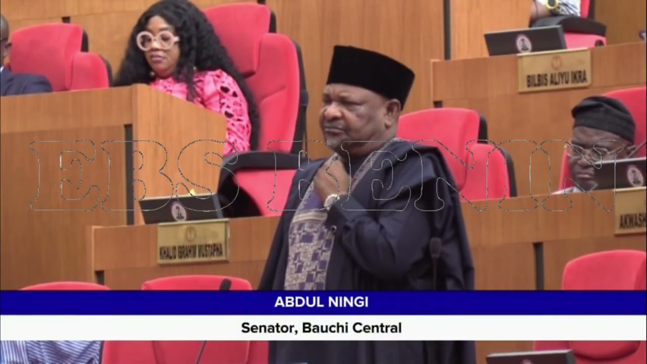 Сенат Нигерии в 2025 году: сенаторы, которые смешат нигерийцев.