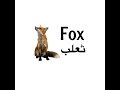 اسماء الحيوانات بالانجليزي Animals In English 