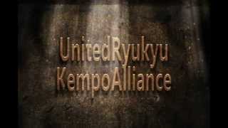 United Ryukyu Kempo Alliance screenshot 3