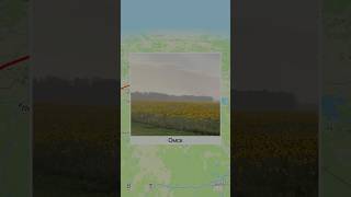 Путешествие на Алтай. Омск. День 5. Пингвины, сантехник Степаныч, снег и подсолнухи. #2025 #russia