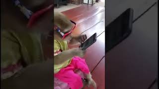 Lucu Monyet Bicara Bahasa Sunda  Kocak 