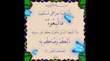 سورة الأنعام الآية ( 153 )