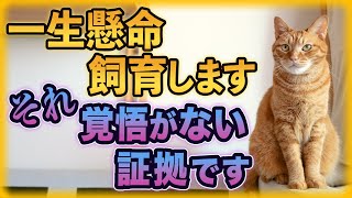 猫を飼うべきではない人10選