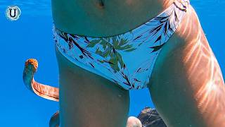 Floating with Fishes 💙 Beautiful Girls Deep Blue Swimming 💙 Underwater Adventures