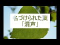 名づけられた葉 混声 名づけられた葉 混声