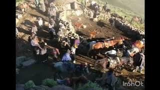 MOKHATLO OA SHAAPA SHAAPA ONO FELLE KAE BASOTHO