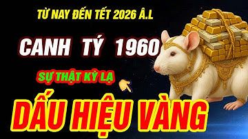 Dấu hiệu VÀNG HỐT TIỀN TỶ đúng từ này đến tết 2026 Â.L- Tuổi CANH TÝ 1960 TRỜI ĐANG ĐỘ CỰC GIÀU