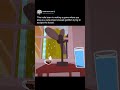 This indie team is making a game where you play as a cute goldfish trying to escape the house.