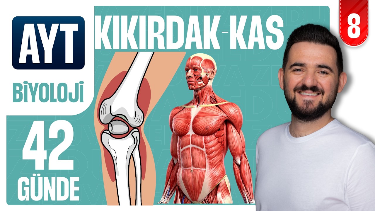 Kıkırdak ve Kas Doku | 42 GÜNDE AYRINTILI AYT BİYOLOJİ KAMPI 2026-2027 | 8.GÜN