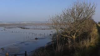 Horsey Island Braunton Marsh Flood 2018