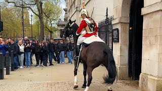 SPOOKED HORSE! Kings Guard screams at public to get to safety!