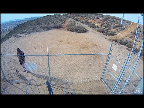 Man caught on video tossing dog over fence at Riverside County cell tower